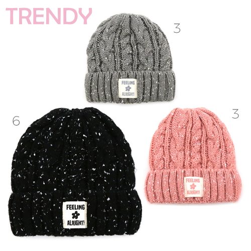15763- Gorro Trendy