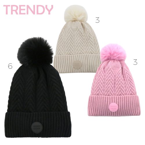 15765- Gorro Trendy