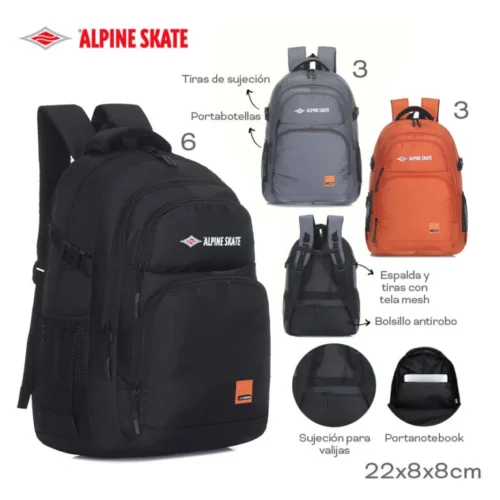16379- Mochila Alpine Skate (gris)